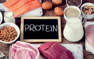 Растительный белок: полноценный протеин для функционирования организма