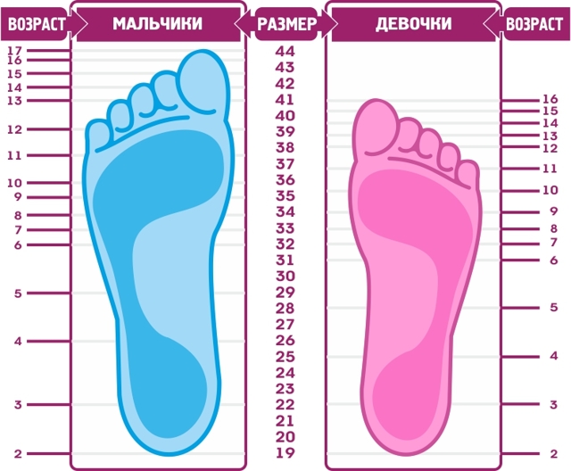 Размер ноги ребёнка по возрасту: измеряем стопу и выбираем правильную обувь