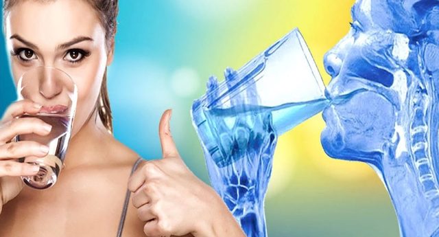 Сколько нужно пить воды в день: роль жидкости, правила расчёта нормы