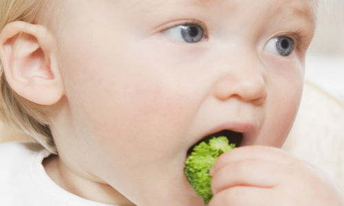 Питание ребёнка 10 месяцев: особенности режима, допустимый прикорм