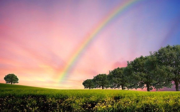 Почему появляется радуга: причины возникновения удивительного явления