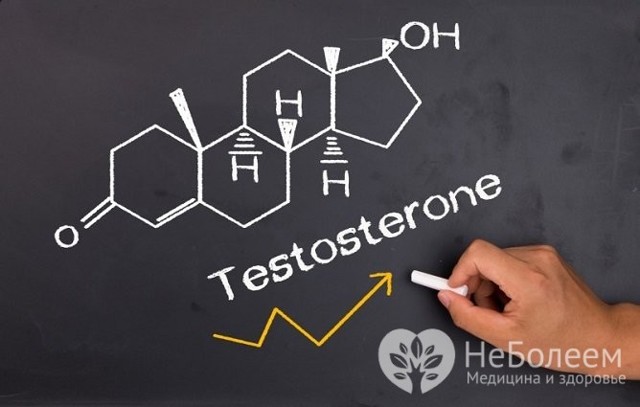Что такое тестостерон, и как повысить его содержание в организме