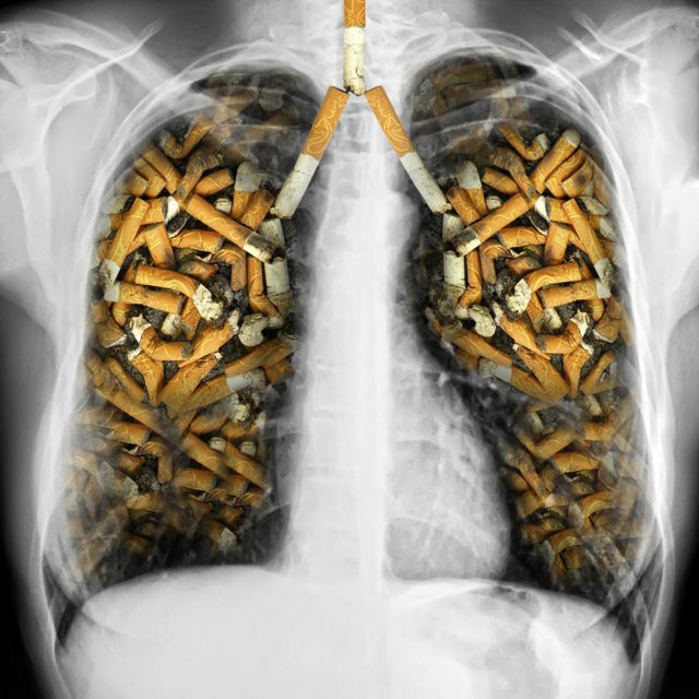 Что вреднее – кальян или сигареты: опасности, поджидающие курильщиков