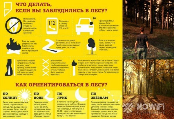 Что делать, если заблудился в лесу: правила поведения в критических ситуациях