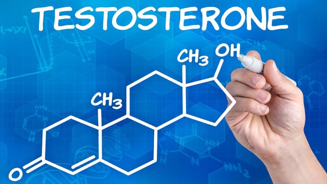 Что такое тестостерон, и как повысить его содержание в организме