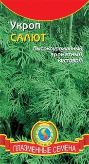 Укроп на подоконнике: выращивание из семян в зимнее и летнее время года