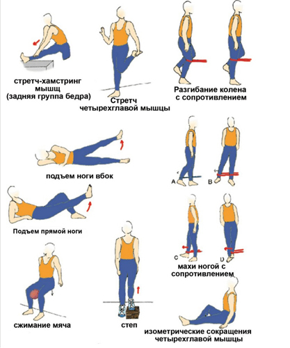 Упражнения для коленных суставов: профилактика и лечение